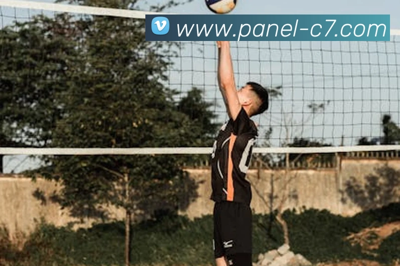 c7娱乐发展历程